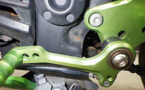 KAWASAKI NINJA 250R 2019 EX250K