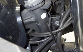 KAWASAKI NINJA 250 2009 EX250L