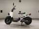 Фото Honda ZOOMER 2004 с японского аукциона