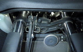 KAWASAKI NINJA 250 ABS 2025 EX250L