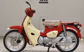 HONDA C110 SUPER CUB 2008 JA59