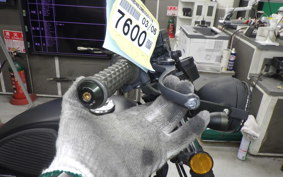 OTHER +UNREGISTERED MODEL by BDS250