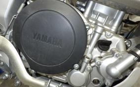 YAMAHA WR250R DG15J