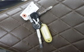 HONDA REBEL 250 S MC49