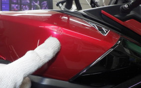 TRIUMPH TIGER 900 GT PRO 2024