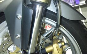 TRIUMPH TIGER 1050 2009