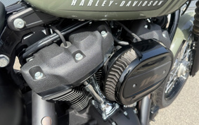 HARLEY FXBBS 2021 YYK