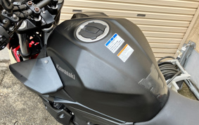 KAWASAKI Z250 ABS EX250P