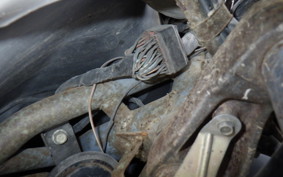 HONDA FORESIGHT MF04