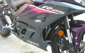 YAMAHA YZF-R25 RG74J
