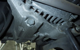 HONDA LEAD 110 JF19