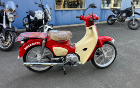 HONDA SUPER CUB110 JA59