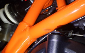 KTM 390 DUKE 2024