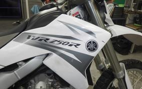 YAMAHA WR250R 2020 DG15J