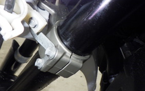 YAMAHA WR250X DG15J