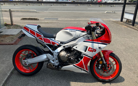 YAMAHA XSR900 GP 2024 RN96J