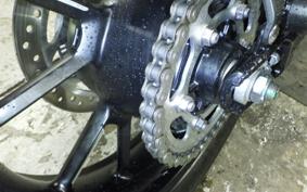TRIUMPH SPEED TWIN 900 2024