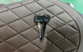 HONDA REBEL 250  S E-clutch MC49