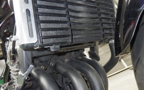 HONDA HORNET 250 MC31
