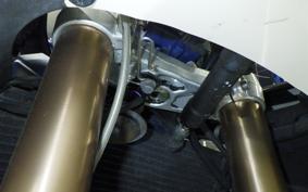 TRIUMPH DAYTONA 675 2009