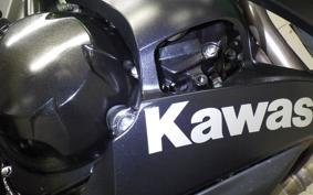 KAWASAKI NINJA 1000 2015