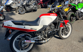 YAMAHA RZ250R 29L