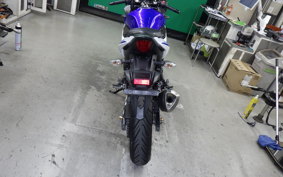 SUZUKI GSX250 R 2007