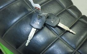 KAWASAKI ZRX1200 D 2017 ZRT20D