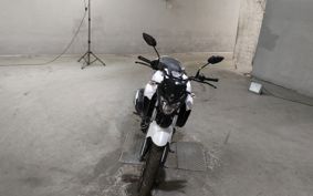 YAMAHA FZ25 RG42