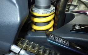 TRIUMPH TRIUMPH DAYTONA675 2009