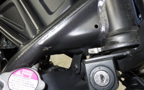 HONDA REBEL 250 S 2007 MC49