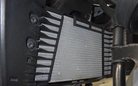 YAMAHA MT-25 RG43J