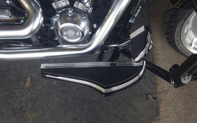 HARLEY FLFBS 2019 YGK