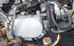 OTHER +UNREGISTERED MODEL by BDS125