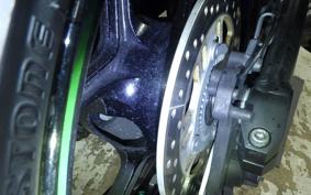 KAWASAKI NINJA 1000SX 2021 ZXT02K