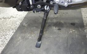 YAMAHA XSR900 GP 2024 RN96J
