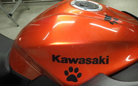 KAWASAKI Z250 2022 ER250C