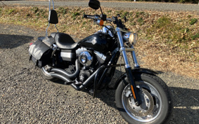 HARLEY HARLEY FXDF1580 2010 GY4