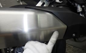 KAWASAKI NINJA 1000SX 2024 ZXT02K