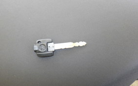 YAMAHA X FORCE SG79J