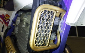 YAMAHA TT250R RAID 4GY