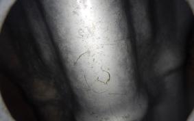 KAWASAKI Z900 2024 Z1F