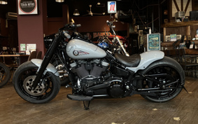 HARLEY FLFB 2025 YF9
