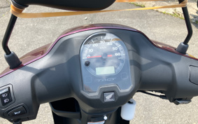 HONDA  TACT  BASIC  AF79