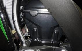 KAWASAKI NINJA 1000 SX 2024 ZXT02K