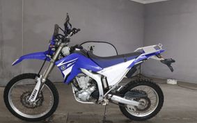 YAMAHA WR250R DG15J