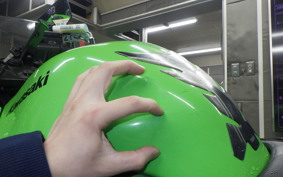 KAWASAKI NINJA 250R 2010 EX250K