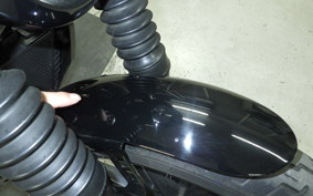 HARLEY RH975 2022