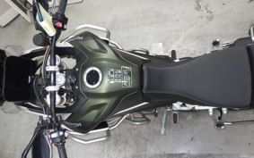 TRIUMPH TIGER 900 RALLY PRO 2023