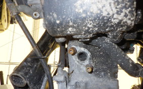 HONDA ZOOMER AF58